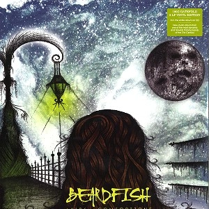 BEARDFISH / ビアードフィッシュ / -+4626-COMFORTZONE: 2LP+CD