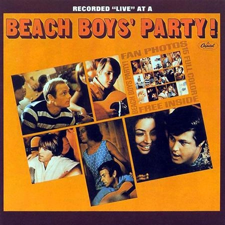 BEACH BOYS / ビーチ・ボーイズ / BEACH BOYS' PARTY! (200G LP)
