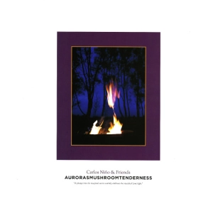 CARLOS NINO & FRIENDS / カルロス・ニーニョ・アンド・フレンズ / AURORASMUSHROOMTENDERNESS