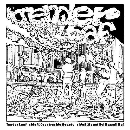 TENDER LEAF / テンダー・リーフ / COUNTRYSIDE BEAUTY / BEAUTIFUL HAWAII KAI (7")