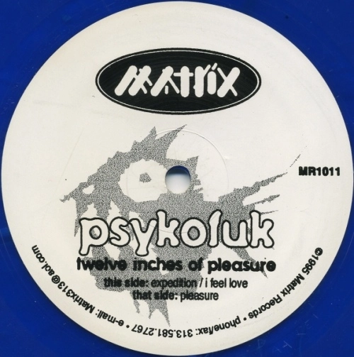 PSYKOFUK / TWELVE INCHES OF PLEASURE