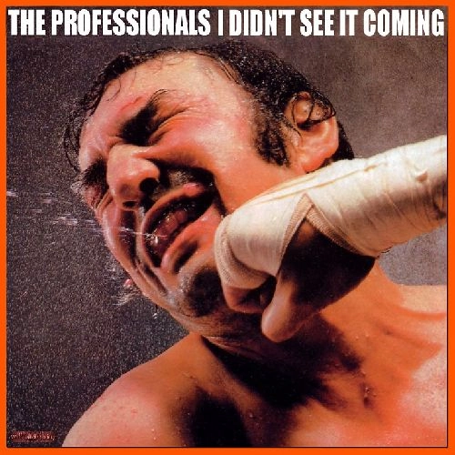THE PROFESSIONALS / ザ・プロフェッショナルズ / 炸裂