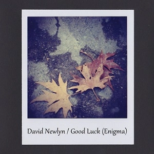 DAVID NEWLYN / GOOD LUCK (ENIGMA)