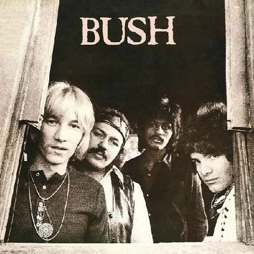 BUSH / ブッシュ / BUSH