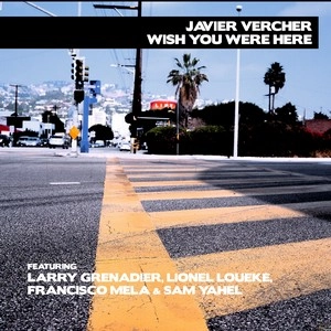 JAVIER VERCHER / WISH YOU WERE HERE