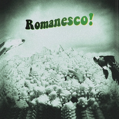 ROMANESCO / ロマネスコ / ロマネスコの世界 / ROMANESCO!