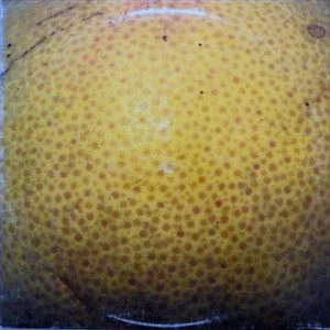 COCTAILS / カクテルズ / PEEL