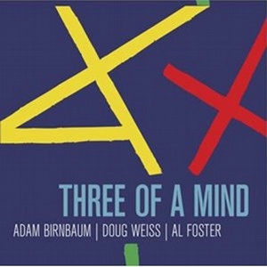 ADAM BIRNBAUM / アダム・バーンバウム / THREE OF A MIND