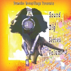 V.A. / SOUND DIG SERIES VOL.3