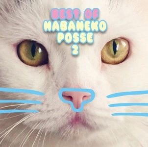 オムニバス(曽我部恵一、CHERRYBOY FUNCTION 他) / ベスト オブ ハバねこポッセ 2
