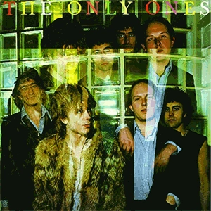 ONLY ONES / オンリーワンズ / ONLY ONES (200GM BLACK LP)