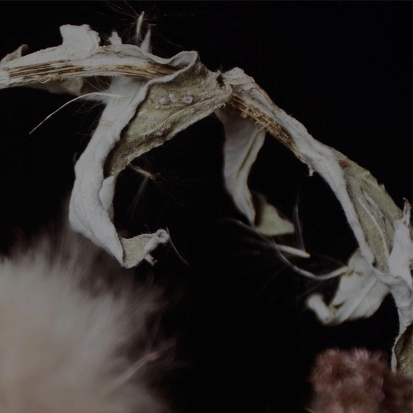 FOEHN & JEROME / UNTLD100