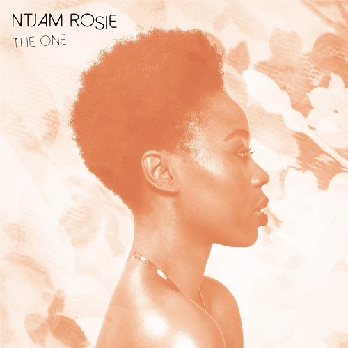 NTJAM ROSIE / ワン / ONE