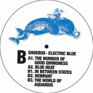SHOEBOX  / ELECTRIC BLUE