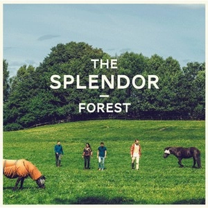 SPLENDOR(JAZZ) / FOREST