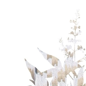 HAKOBUNE / VITEX NEGUNDO