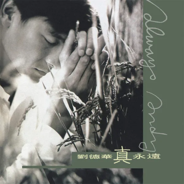 ANDY LAU / アンディ・ラウ / 真永遠 ALWAYS ANDY