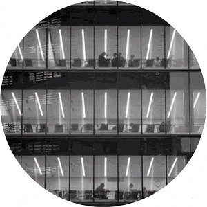 RADIO SLAVE / レディオ・スレイヴ / WERK REMIXES