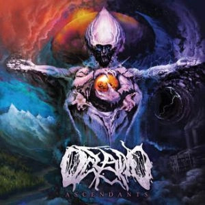 OCEANO / ASCENDANTS