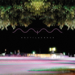 MARK MCGUIRE / マーク・マグワイヤ / ノクティルーセンス / NOCTILUCENCE 