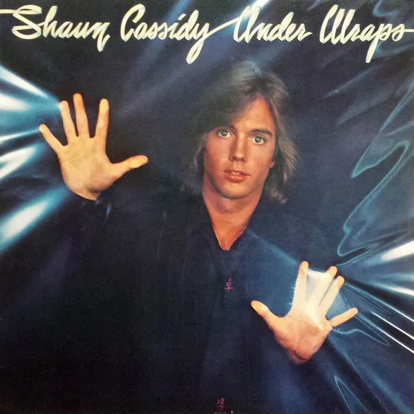 SHAUN CASSIDY / ショーン・キャシディ / エイコウノカガヤキ