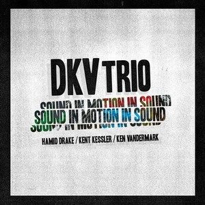 DKV TRIO / SOUND IN MOTION IN SOUND