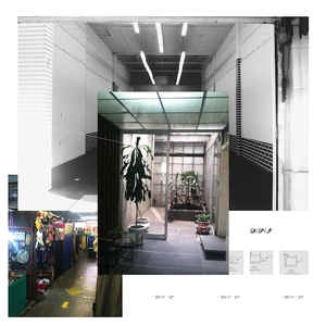 D/P/I / RICO EP
