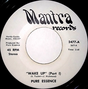PURE ESSENCE / WAKE UP
