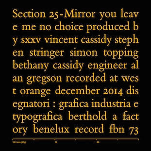 SECTION 25 / セクション25 / MIRROR [7"]
