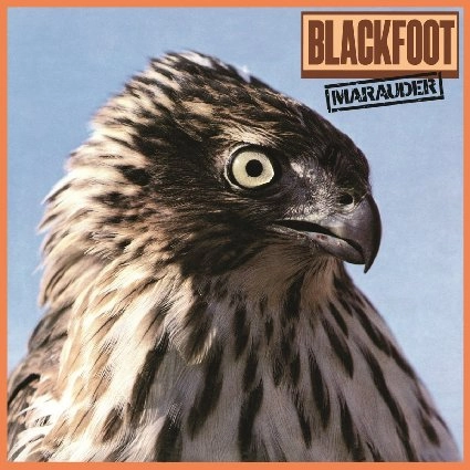 BLACKFOOT / ブラックフット / MARAUDER