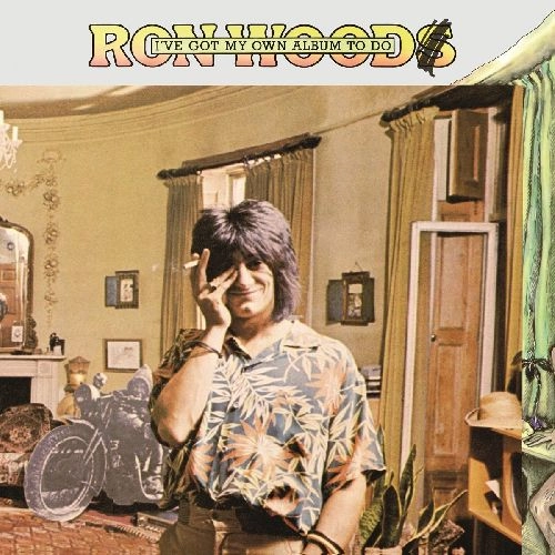 RON WOOD / ロン・ウッド / I'VE GOT MY OWN ALBUM TO DO