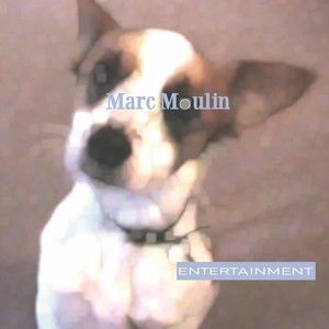 MARC MOULIN / マーク・ムーラン / Entertainment(LP/180G)
