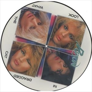 POISON (METAL) / ポイズン / LOOK WHAT THE CAT DRAGGED IN
