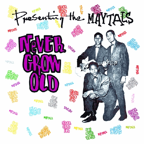 MAYTALS / メイタルズ / NEVER GROW OLD