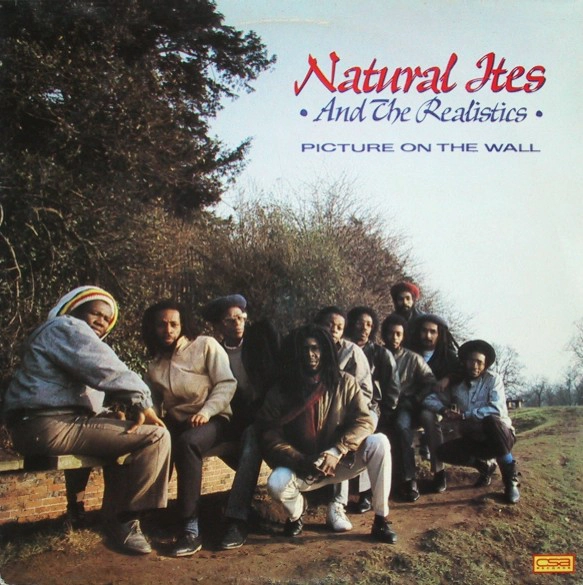 NATURAL ITES AND THE REALISTICS / PICTURE ON THE WALL