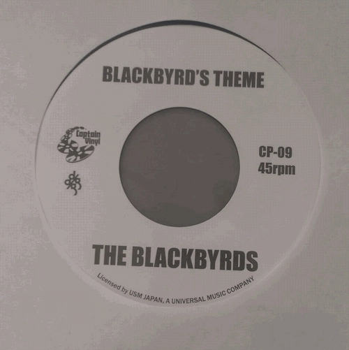 PLEASURE / プレジャー / ウィー・ハヴ・ソー・マッチ／ブラックバーズ・テーマ / WE HAVE SO MUCH / BLACKBYRD'S THEME