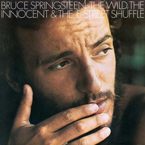 BRUCE SPRINGSTEEN / ブルース・スプリングスティーン / THE WILD, THE INNOCENT AND THE E STREET SHUFFLE [LP]