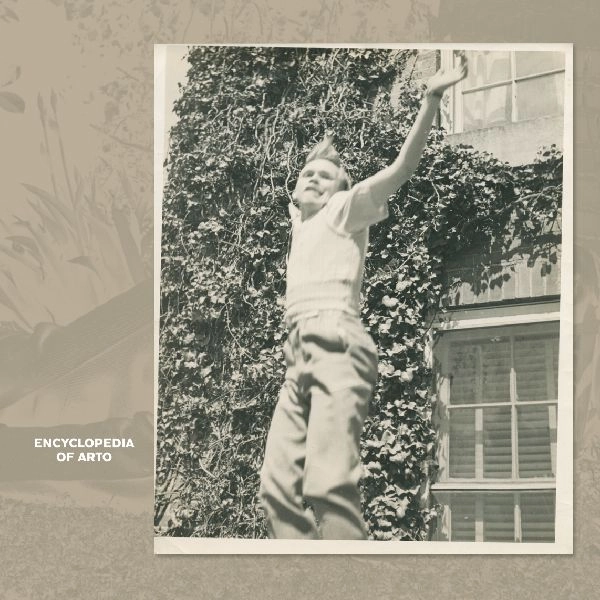 ARTO LINDSAY / アート・リンゼイ / ENCYCLOPEDIA OF ARTO [LP]