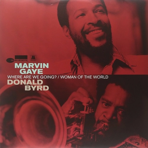 MARVIN GAYE / DONALD BYRD / マーヴィン・ゲイ / ドナルド・バード / WHERE ARE WE GOING? / WOMAN OF THE WORLD