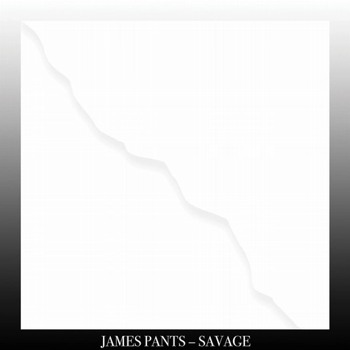 JAMES PANTS / "SAVAGE ""LP"""