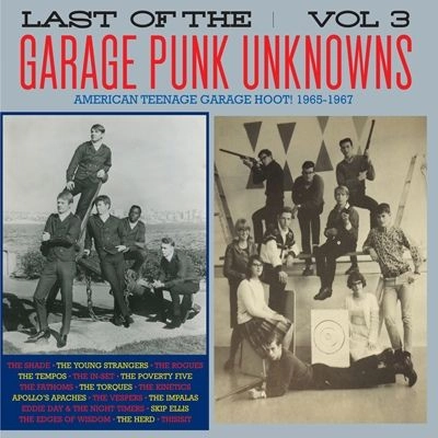 V.A. (THE LAST OF THE GARAGE PUNK UNKNOWNS) / LAST OF THE GARAGE PUNK UNKNOWNS VOL.3