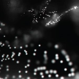 WHITE NOISE SOUND / HEAVY ECHO