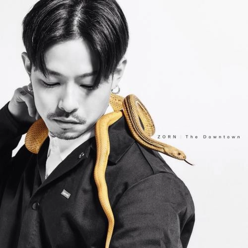 ZORN / The Downtown アナログレコード The Downtown / ZORN (EX. ZONE THE DARKNESS) / ヒップホップ・R&B