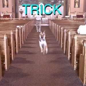ALEX G / アレックス・G / TRICK (LP)