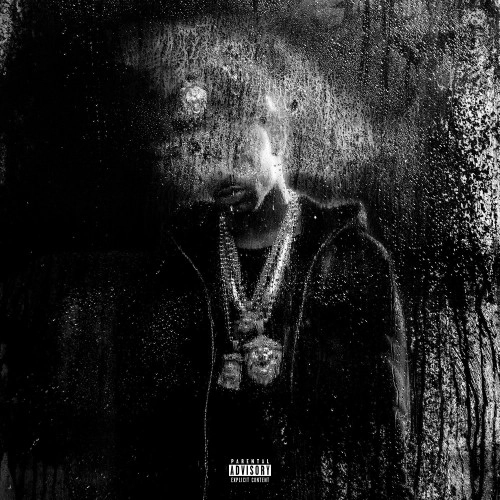 BIG SEAN / ビッグ・ショーン / Dark Sky Paradise