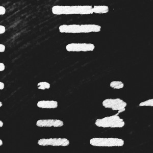 V.A. / MDR COMPILATION (#00916)