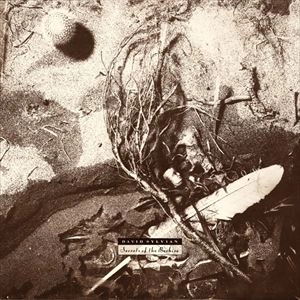 DAVID SYLVIAN / デヴィッド・シルヴィアン / SECRETS OF THE BEEHIVE