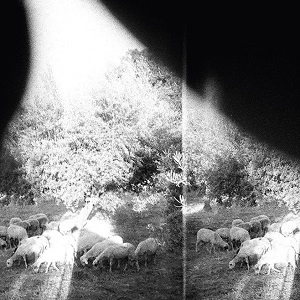 GODSPEED YOU! BLACK EMPEROR / ゴッドスピード・ユー・ブラック・エンペラー / アサンダー、スウィート･アンド･アザー･ディストレス