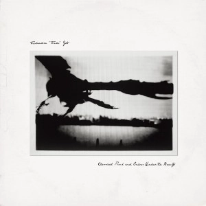TAKAAKIRA “TAKA” GOTO   / Classical Punk And Echoes Under The Beauty