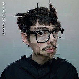 JOYWAVE / HOW DO YOU FEEL NOW